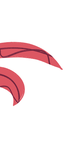 Decoração Esquerda